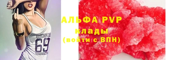 PSILOCYBIN Богданович