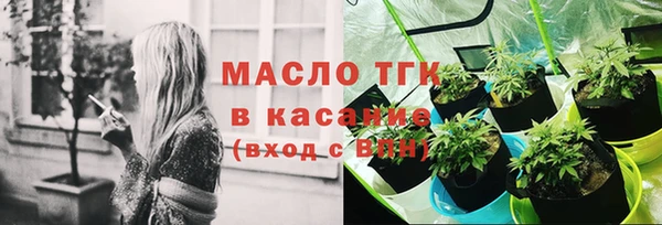 PSILOCYBIN Богданович
