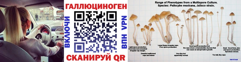 хочу наркоту Очёр Псилоцибиновые грибы Magic Shrooms